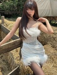 Đầm Lụa Kết Lông