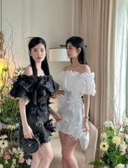 Đầm Bông Hoa Cắt Nhọn