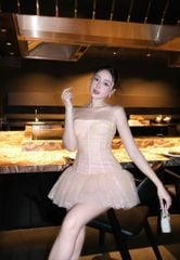 Đầm Lưới Nhúng Xòe Phối Ren