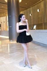 Đầm Lưới Nhúng Xòe Phối Ren