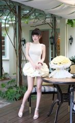 Đầm Ren Hở Lưng Tùng Bí