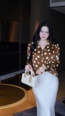 Cv Lụa Đuôi Cá 3M