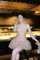 Đầm Lưới Nhúng Xòe Phối Ren
