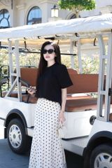 Cv Đuôi Cá Châm Bi