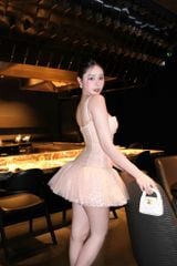 Đầm Lưới Nhúng Xòe Phối Ren