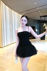 Đầm Lưới Nhúng Xòe Phối Ren