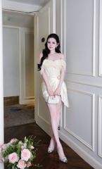 Đầm Lưới Bẹt Vai Phối Lụa