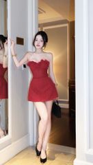 Đầm Ống Xòe Viền Bông