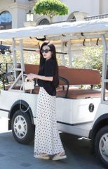 Cv Đuôi Cá Châm Bi