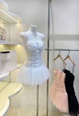 Đầm Lưới Nhúng Xòe Phối Ren