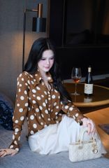 Cv Lụa Đuôi Cá 3M