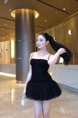 Đầm Lưới Nhúng Xòe Phối Ren