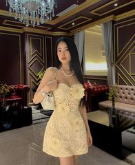Đầm Ren Hoa Kết Cườm