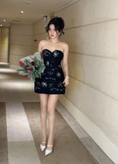 Đầm Ren Hoa Kết Cườm