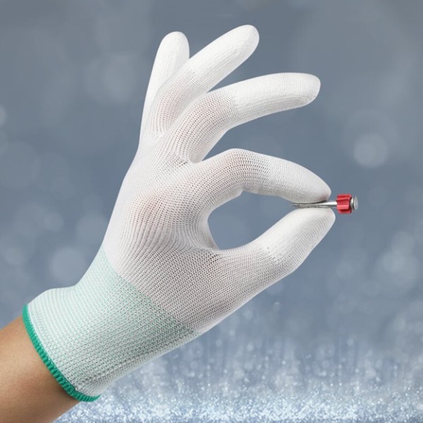 gang tay ngon phu pu.jpg 8 f893d99a63814926b66f640b110ee206