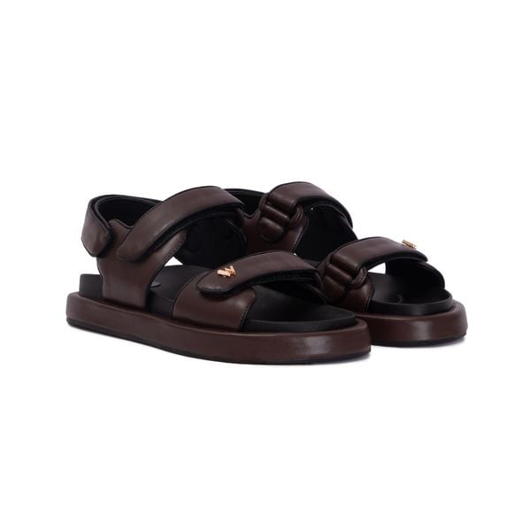 color_BROWN