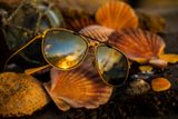  Maui Jim Fair Winds HC Bronze sunglasses 