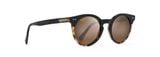  Maui Ji Upside Down Falls H861-10 sunglasses 