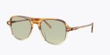  Oliver Peoples Nilos Honey / Green Wash 