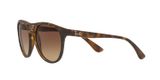  Ray Ban RB4170 865 13 