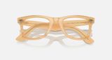  Ray Ban Wayfarer CHANGE collection RB4340V 8383 eyeglasse 