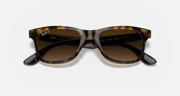 Ray Ban RB4640 710/M2 polarized sunglasses 