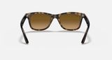  Ray Ban RB4640 710/M2 polarized sunglasses 