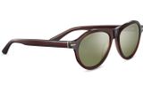  Serengeti Danby sunglasses 