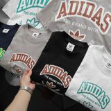  Áo Adidas Cotton ss24 