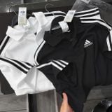  Áo Polo Adidas Essentials chính hãng [IC9310] 