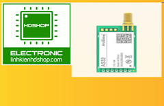 AS32-TTL-1W(1W) LORA 8000m