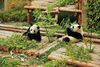 Thiên Đường Nơi Hạ Giới Cửu Trại Câu - Cuối Cùng Cũng Được Tới Nơi Này Rồi!!!