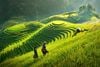 Hà Giang - Cao Nguyên Đá Đồng Văn_3N2Đ