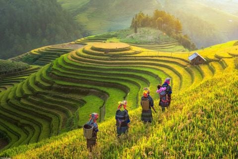 Hà Giang - Cao Nguyên Đá Đồng Văn_3N2Đ