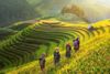 Hà Giang - Cao Nguyên Đá Đồng Văn_3N2Đ