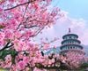 Du lịch Đài Loan |5N4Đ|: ĐÀI TRUNG - CAO HÙNG - ĐÀI BẮC | Giá hấp dẫn nhất 2023