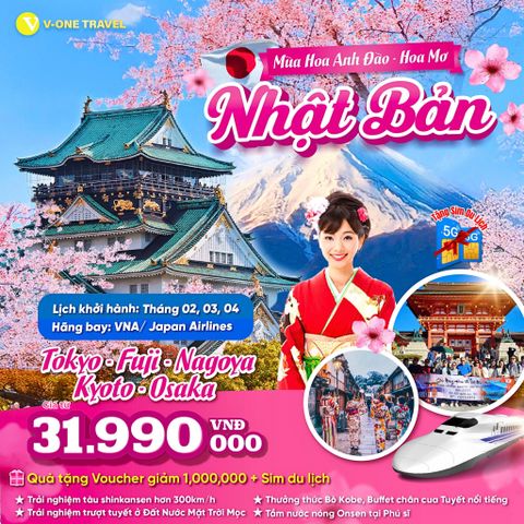 MÙA HOA ANH ĐÀO - HOA MƠ Ở NHẬT BẢN