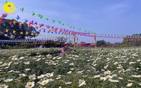 ĐẢO Ó - ĐẢO ĐỒNG TRƯỜNG 2N1Đ