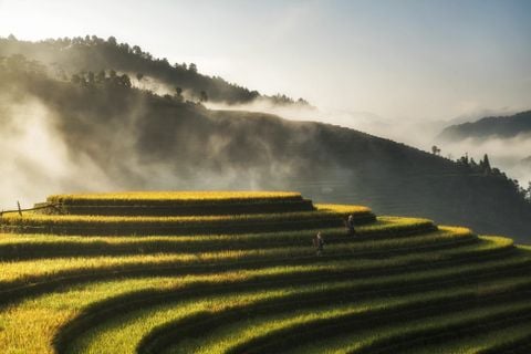 MÙ CANG CHẢI - CHUYÊN TUYẾN ĐẶC BIỆT