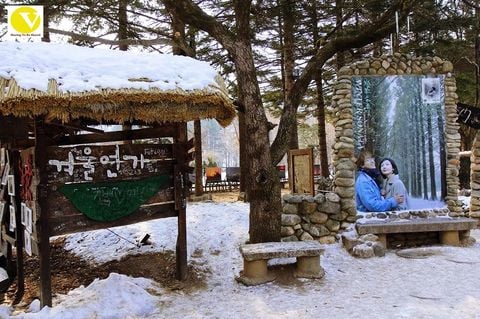 Đà Nẵng - Seoul - Ski Resort - Nami - Everland - Hero Painters Show