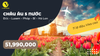 DU LỊCH MÙA XUÂN |9N8Đ|: Tour Châu Âu 5 nước: ĐỨC - HÀ LAN - PHÁP - BỈ - THUỴ SĨ | Ngắm hoa Tulip