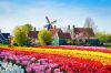 DU LỊCH MÙA XUÂN |9N8Đ|: Tour Châu Âu 5 nước: ĐỨC - HÀ LAN - PHÁP - BỈ - THUỴ SĨ | Ngắm hoa Tulip