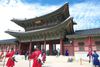 Đà Nẵng - Seoul - Đảo NAMI - Công viên EVERLAND - HERO PAINTERS Show_ZE_5N4Đ