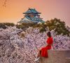 TOUR NHẬT BẢN CUNG ĐƯỜNG VÀNG 2023