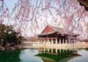 Tour Hàn Quốc: SEOUL - ĐẢO NAMI - HÁI TRÁI CÂY THEO MÙA |5N4Đ| giá cực hấp dẫn