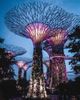 HCM - SINGAPORE - MALAYSIA | 5N4Đ | Giá cực hấp dẫn