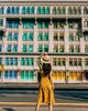 HCM - SINGAPORE - MALAYSIA | 5N4Đ | Giá cực hấp dẫn