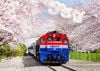 Tour Hàn Quốc: SEOUL - ĐẢO NAMI - HÁI TRÁI CÂY THEO MÙA |5N4Đ| giá cực hấp dẫn