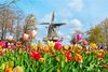 DU LỊCH MÙA XUÂN |9N8Đ|: Tour Châu Âu 5 nước: ĐỨC - HÀ LAN - PHÁP - BỈ - THUỴ SĨ | Ngắm hoa Tulip