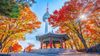 MÙA THU HÀN QUỐC – SEOUL - NAMI - CUNG ĐIỆN GYEONGBOK - NAMSAN